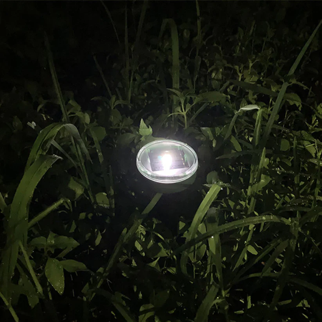 PestLab Outdoor Protector - Banish Moles, Voles, Snakes, Rodents and Other Pests For Good