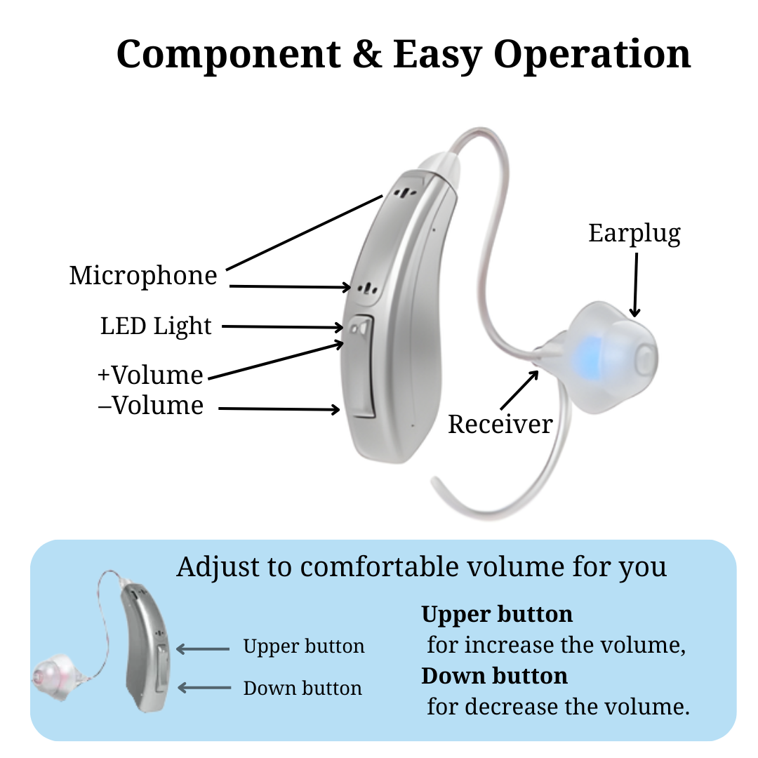 Aurius Pro Hearing Aids